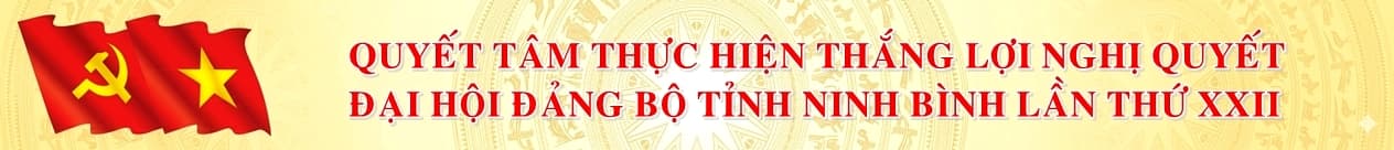 Banner 2